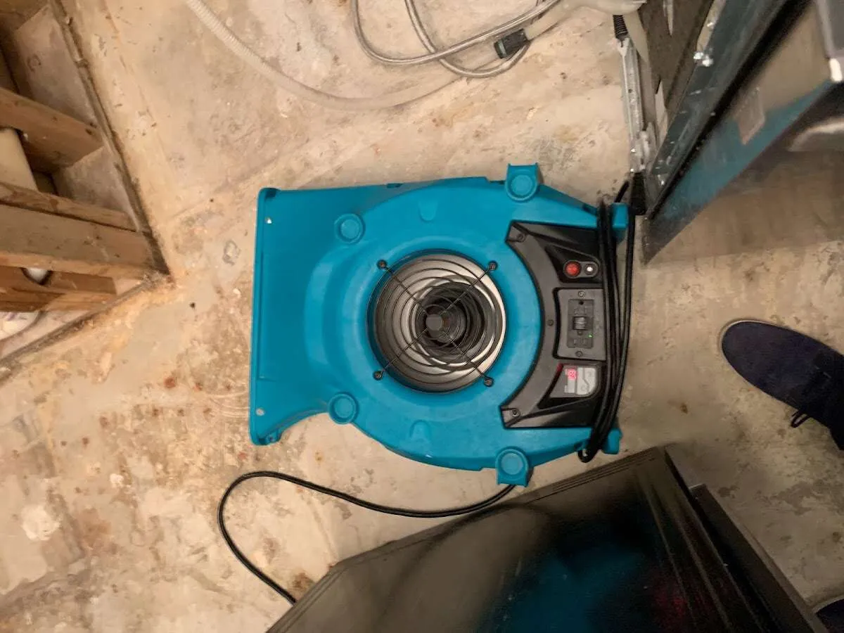 Air mover drying equipment for Mold Remediation & Removal in Poulsbo